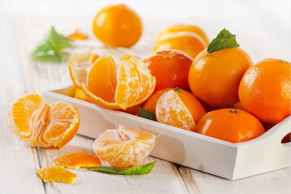 Egyptian Tangerine - Image 2
