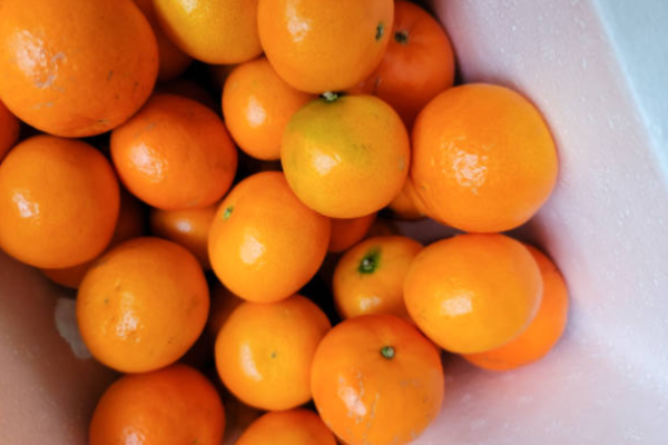 Orange Valencia