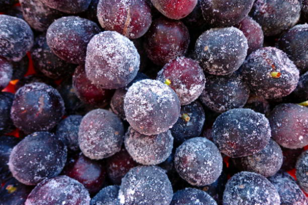 Grapes - Image 3