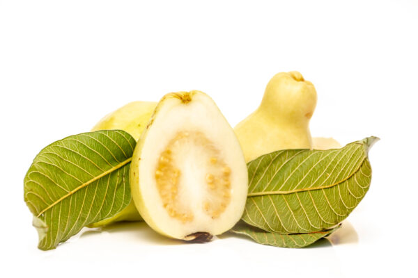 Guava - Image 2