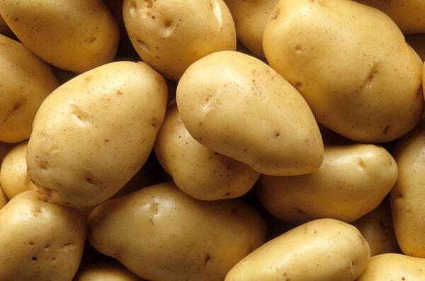 French Fried Potatoes - Image 4