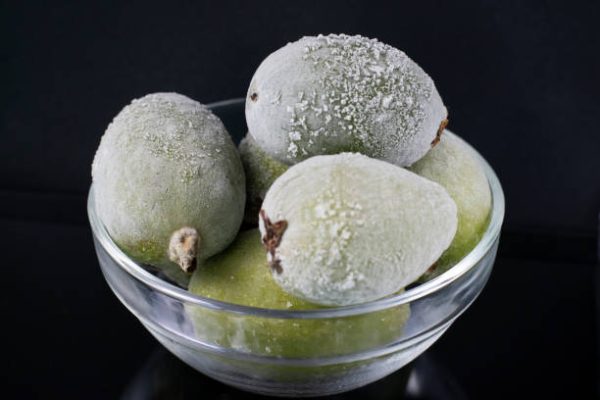 Guava - Image 3
