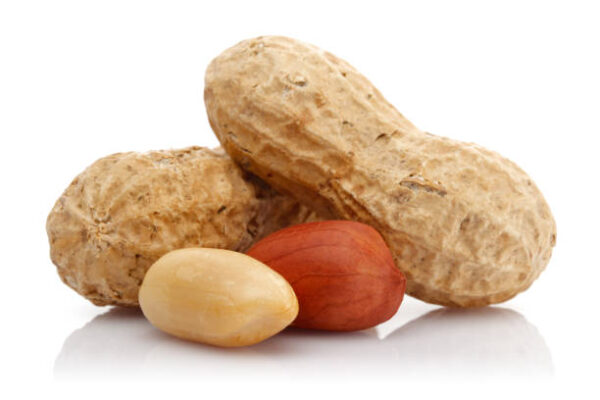 Peanut